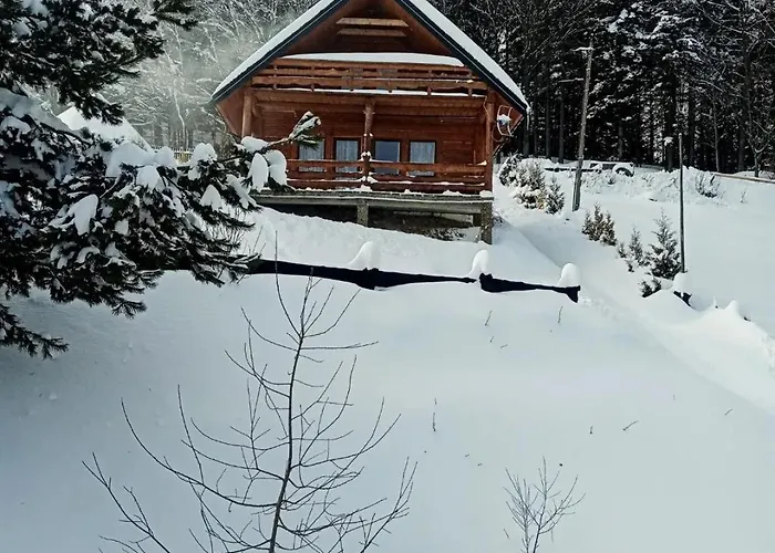 Domek alpejski U Johnnego *