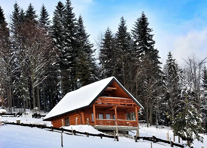 U Johnnego Piwniczna-Zdroj