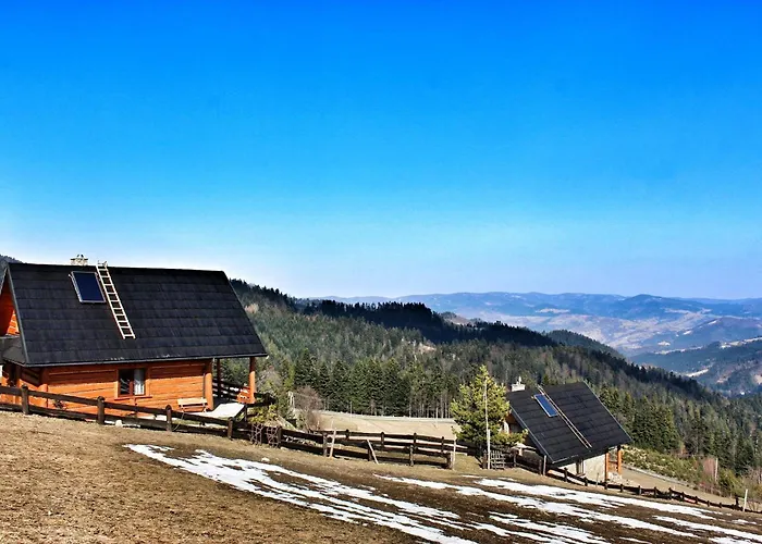 U Johnnego Domek alpejski