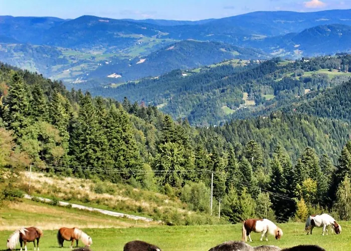 Domek alpejski U Johnnego