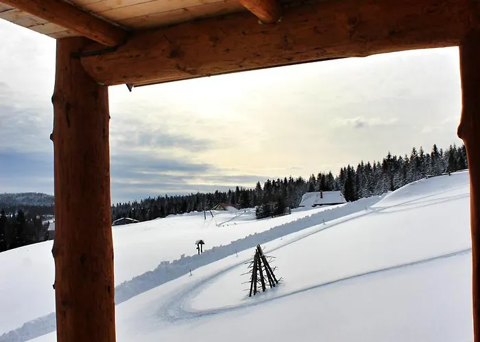 U Johnnego シャレー *