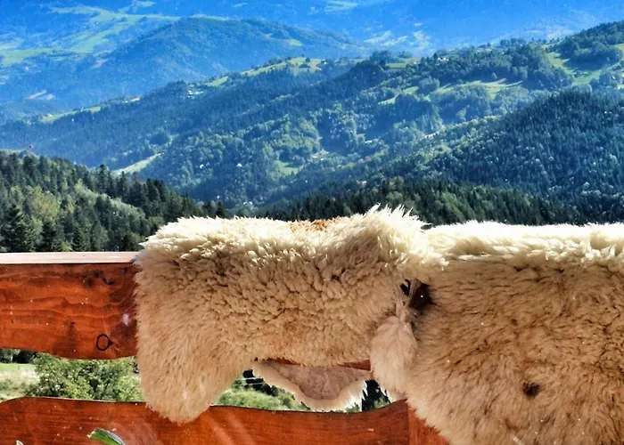 U Johnnego * Piwniczna-Zdroj